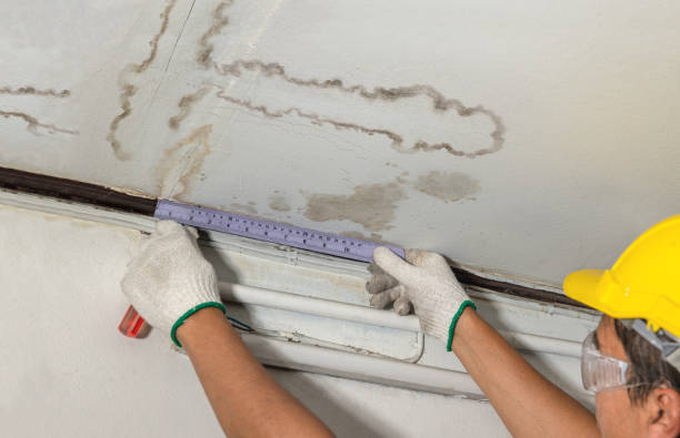Reliable Structural Drying contractor in Filion, MI by Water Damage Irwin